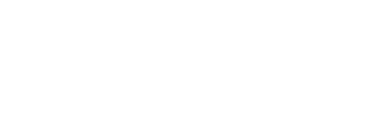 webdev logo